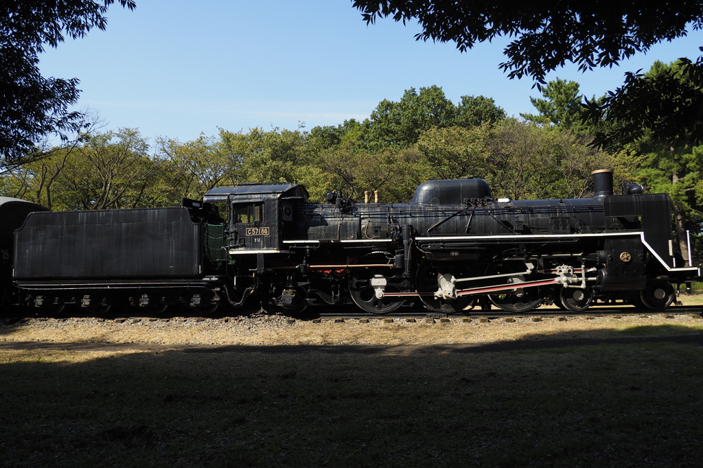 SL C57-186