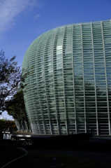 国立新美術館