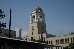 静岡市役所ドーム