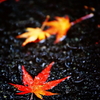 秋雨
