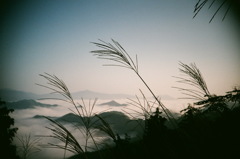 雲海