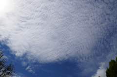 うろこ雲