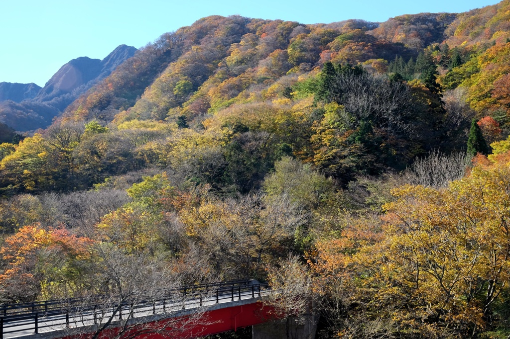 大山、香取の紅葉