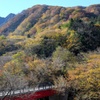 大山、香取の紅葉