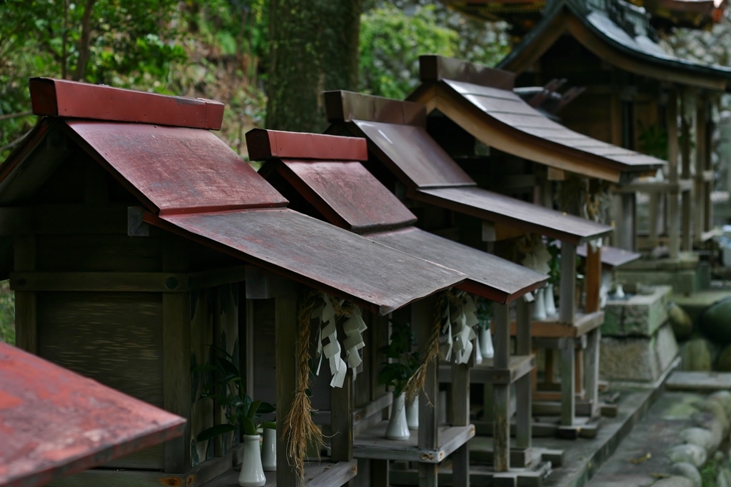 神々の集合住宅