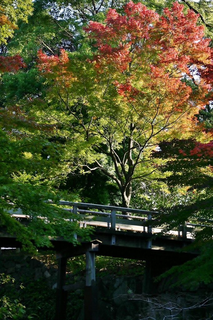 徳川園