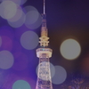 また来年も・・・