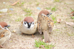 幸せな瞬間