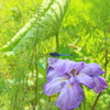 6月