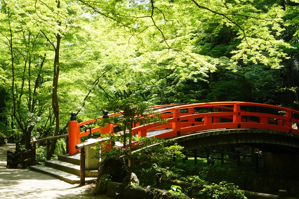 初夏の京都5