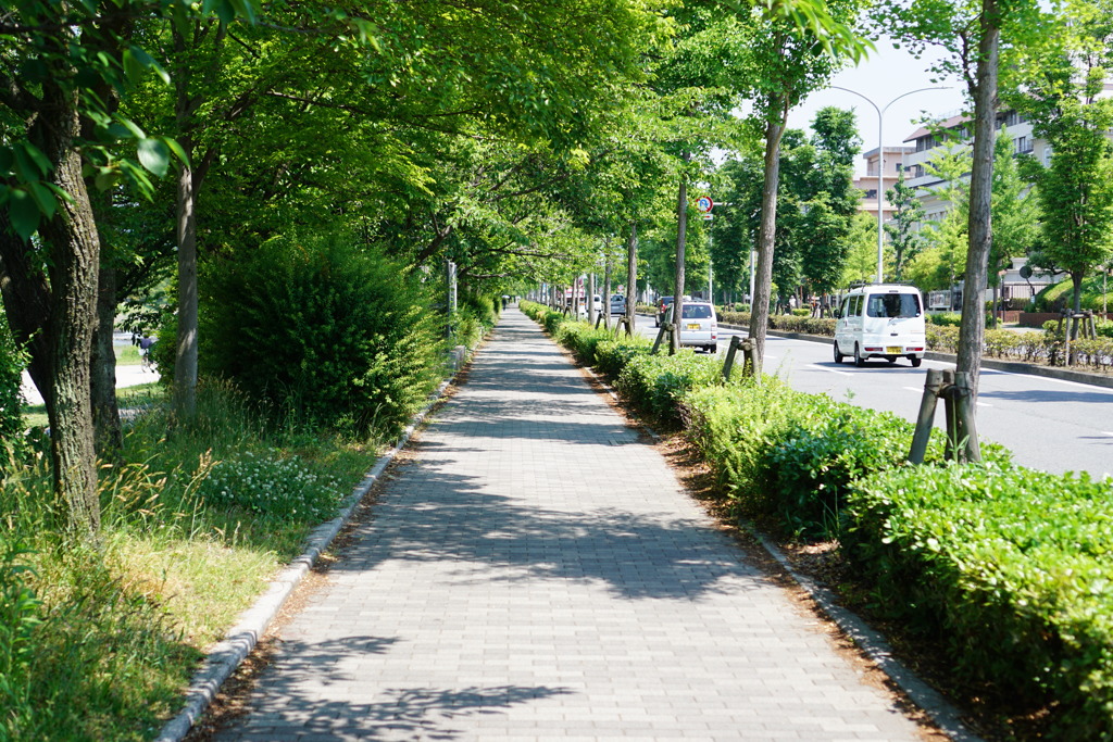 初夏の京都3