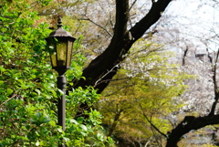 鳩山会館5