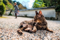 寺のヌシ