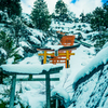 雪中の稲荷神社