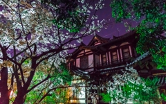 夜桜の城址会館