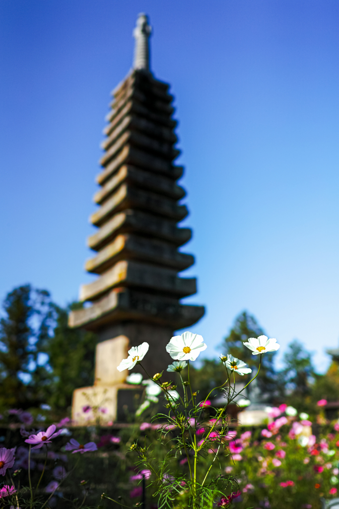 般若寺