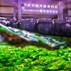 半水面