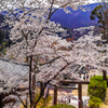 寺の鳥居