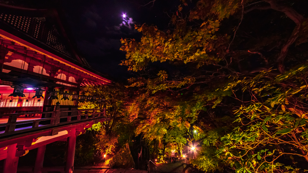 月夜の談山神社