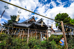 お寺の風鈴