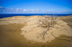 砂丘と海