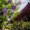久米寺