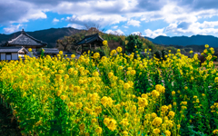 飛鳥寺