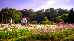 公園に集う
