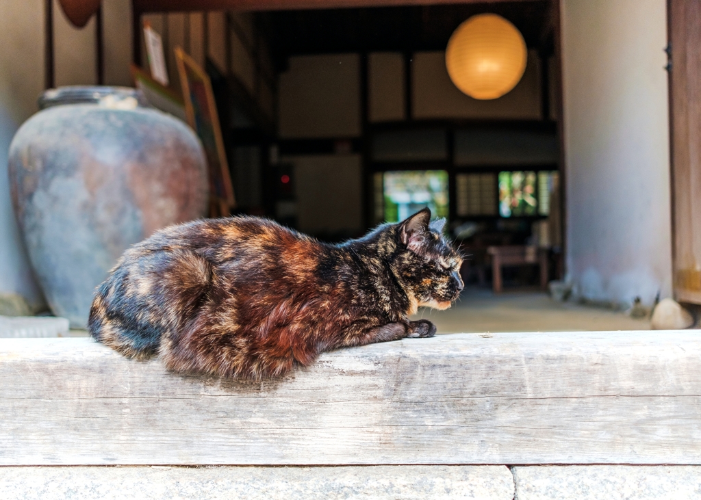 敷居の上