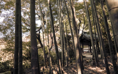 鐘楼を覗く