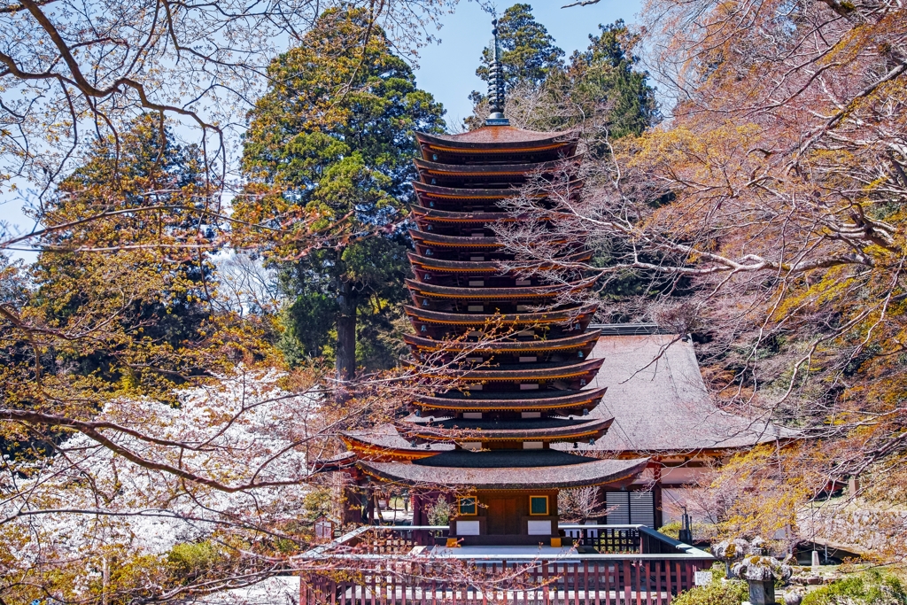 春の談山神社