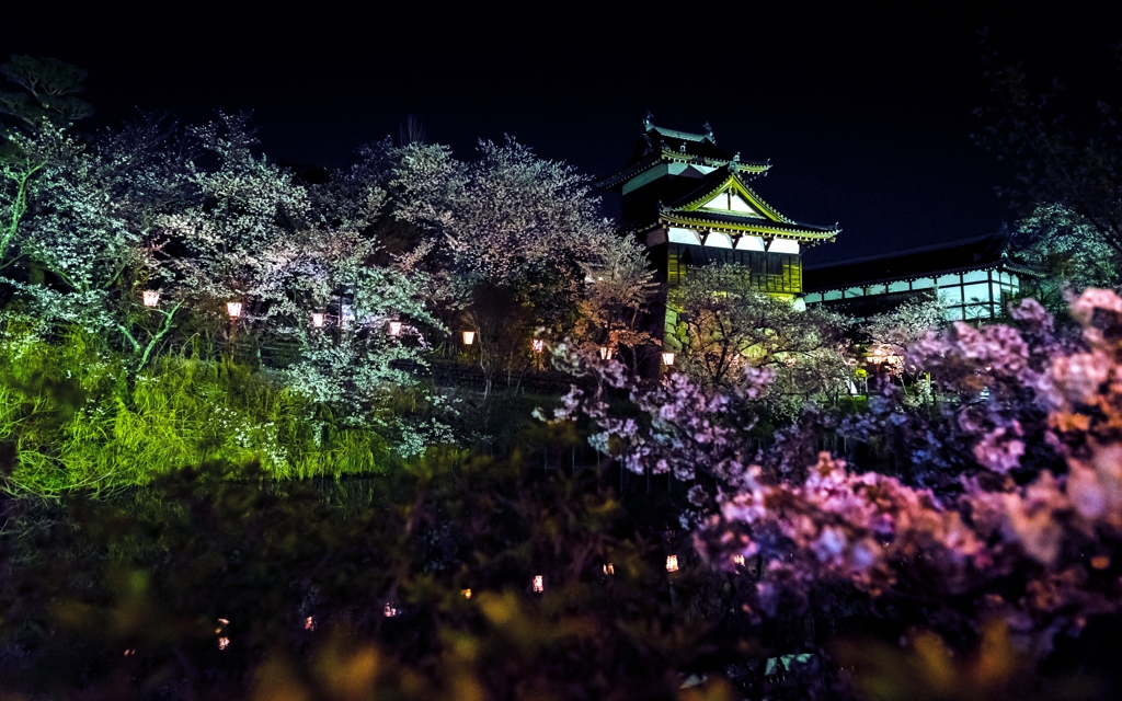 お城まつりの夜