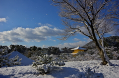 風に吹かれて雪が舞う