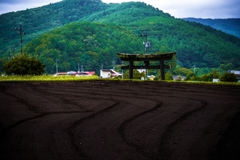 鳥居への道