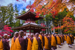 高野に響く修禅の声