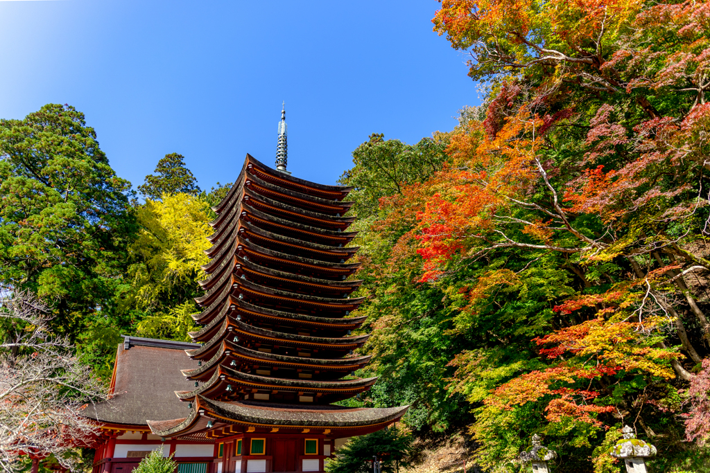 初秋の談山神社