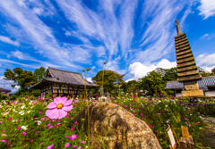 吸い込まれそうな空