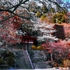 談山神社の春