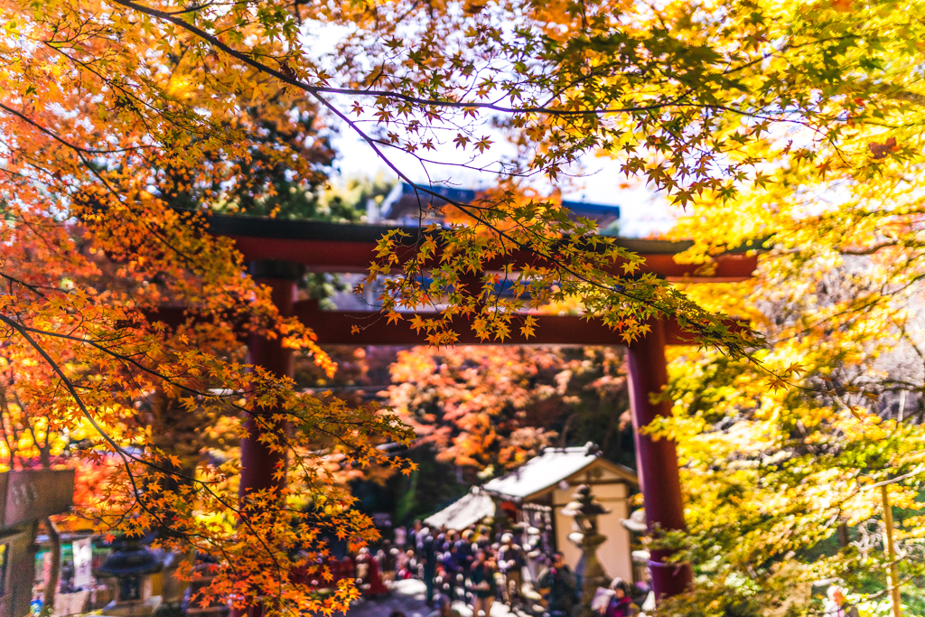 大鳥居