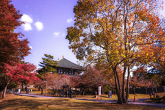 東大寺の紅葉