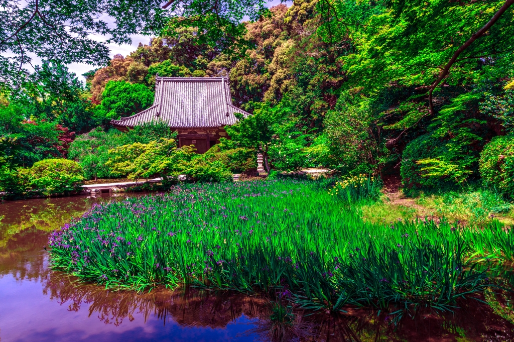 緑あふれる長岳寺