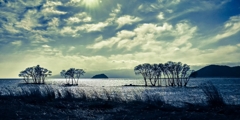 湖北水鳥公園