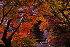 紅葉の抱擁