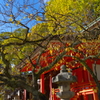 梅の北野天満宮