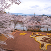 丑年