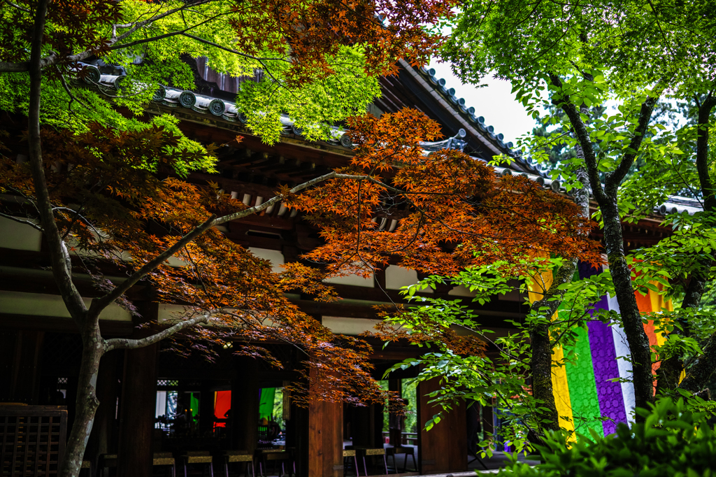 霊山寺