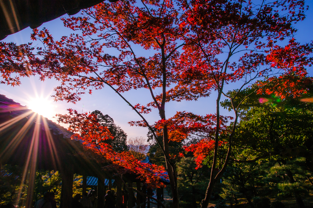 光芒に向かう
