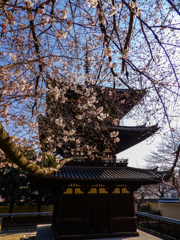 興福寺・三重塔