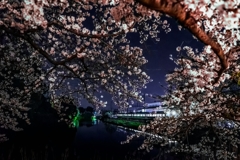 夜桜な近鉄橿原線