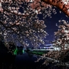 夜桜な近鉄橿原線